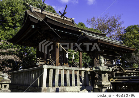 倉敷　阿智神社　本殿 46330796
