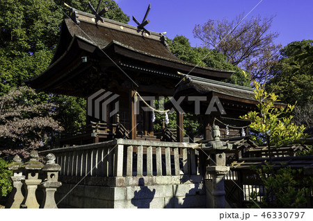 倉敷　阿智神社　本殿 46330797