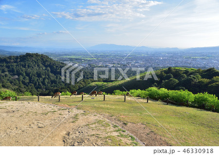 若草山山頂からの奈良盆地の眺め 若草山山頂からの奈良盆地の眺め 46330918