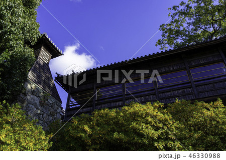 倉敷　阿智神社　絵馬殿 46330988