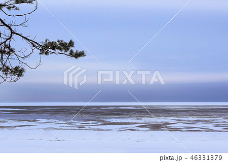 Winter snowy shore Narva Bay. Narva-Joesuu resort Winter snowy shore Narva Bay. Narva-Joesuu resort 46331379