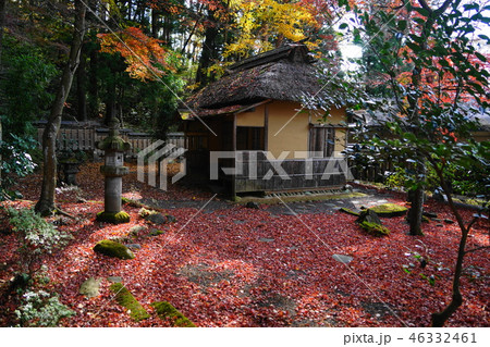 11月　白河08松風亭蘿月庵(茶室)とﾓﾐｼﾞ落葉･南湖神社 46332461