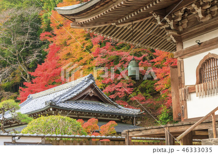 室生寺　紅葉 46333035
