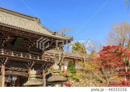 長谷寺の紅葉 46333158