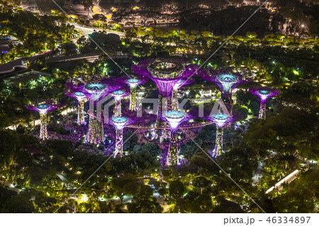 マリーナ・ベイ・サンズ展望台からの夜景（シンガポール） 46334897