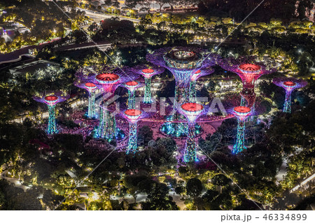 マリーナ・ベイ・サンズ展望台からの夜景（シンガポール） 46334899
