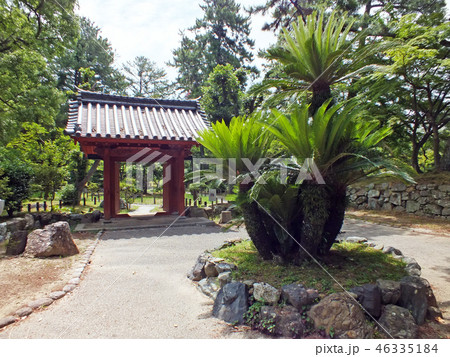 津城跡(入徳門) 津城跡(入徳門) 46335184