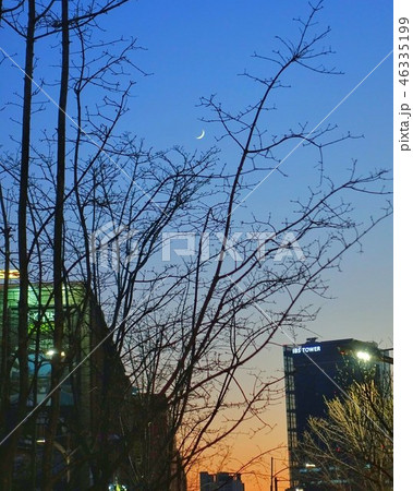 月 三日月 風景 46335199