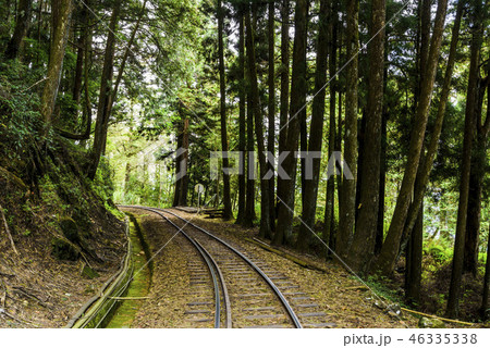 Alishan Forest railway in Taiwan Alishan Forest railway in Taiwan 46335338