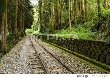 Alishan Forest railway in Taiwan Alishan Forest railway in Taiwan 46335342