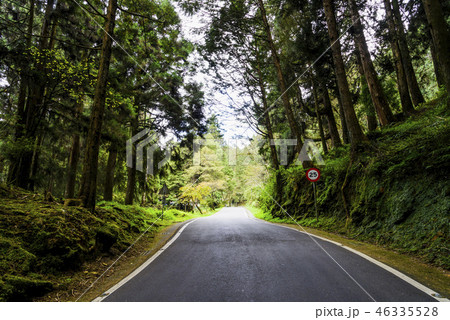 Mountain road in green forest 46335528