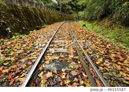 Alishan Forest railway in Taiwan Alishan Forest railway in Taiwan 46335587