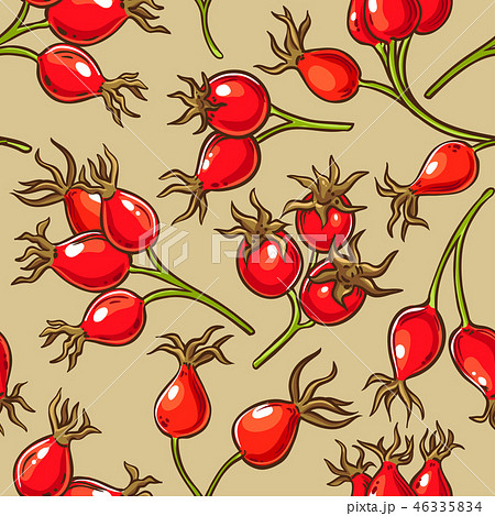 dog rose berries vector pattern dog rose berries vector pattern 46335834