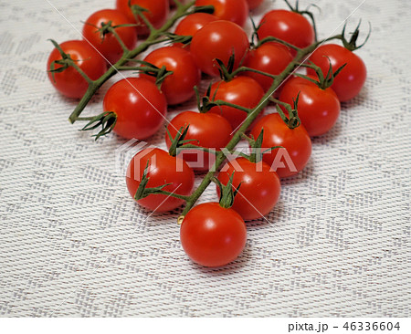 Cherry tomatoes on a branch in two rows   46336604