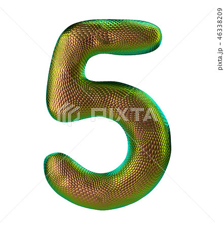 Number 5 five made of natural gold snake skin texture isolated on white 46338209