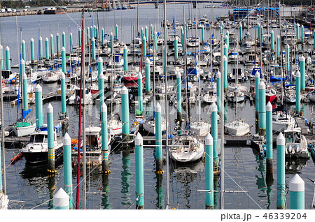 ヨットハーバー-2 46339204