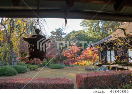 紅葉の喜多院　庭園　埼玉県川越市 46340396