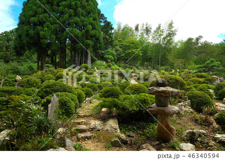 長楽寺庭園 長楽寺庭園 46340594