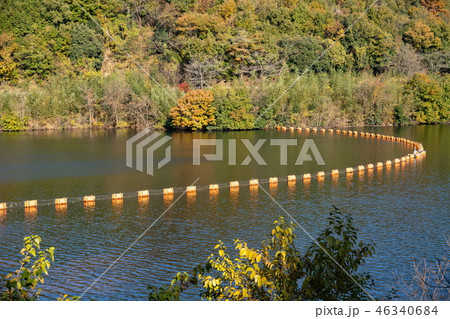前山ダム　ダム湖の流木網場　（香川県さぬき市） 46340684