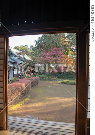 紅葉の喜多院　庭園　埼玉県川越市 46340885