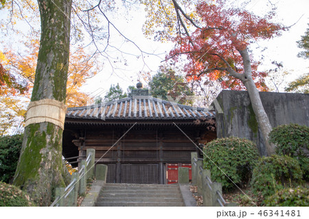 慈眼堂 喜多院 埼玉県川越市 慈眼堂 喜多院 埼玉県川越市 46341481