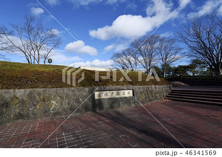 宮城県美術館 46341569