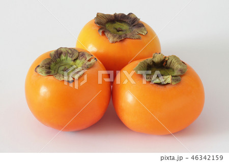 柿_みしらず柿 46342159