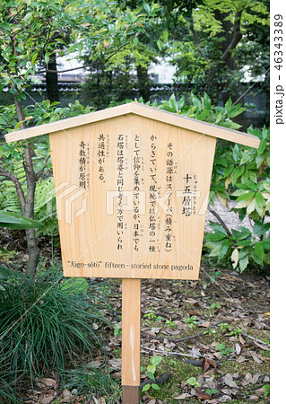 東京都　旧古河庭園　十五層塔　国の名勝 46343389