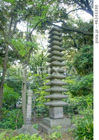 東京都 旧古河庭園 十五層塔 国の名勝 東京都 旧古河庭園 十五層塔 国の名勝 46343390