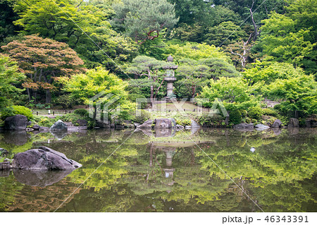 東京都　旧古河庭園　心字池　国の名勝 46343391