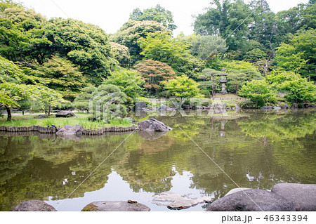 東京都　旧古河庭園　心字池　国の名勝 46343394