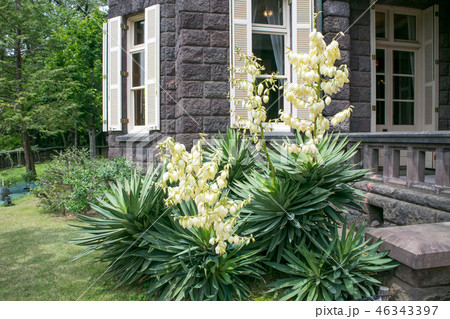 東京都　旧古河庭園　洋館　国の名勝 46343397