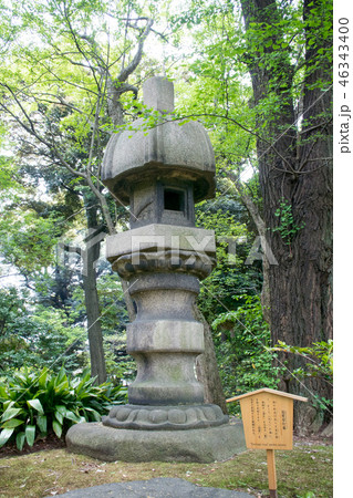 東京都　旧古河庭園　濡鷺型灯籠　国の名勝 46343400