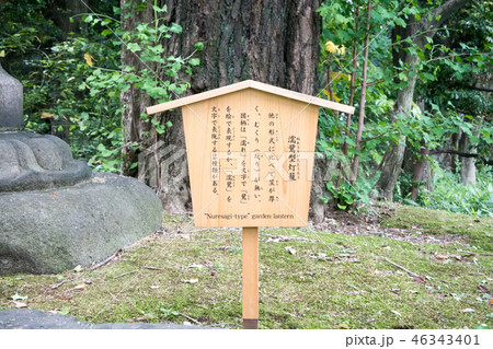 東京都　旧古河庭園　心字池　国の名勝 46343401