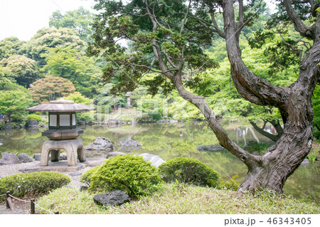 東京都 旧古河庭園 心字池 国の名勝 東京都 旧古河庭園 心字池 国の名勝 46343405