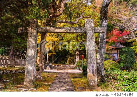 （静岡県）修禅寺　奥の院　境内 46344294