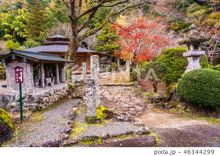 （静岡県）修禅寺　奥の院　境内 46344299