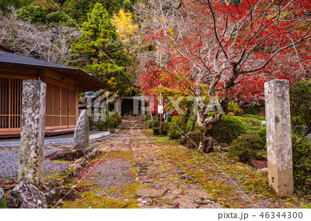 （静岡県）修禅寺　奥の院　境内 46344300