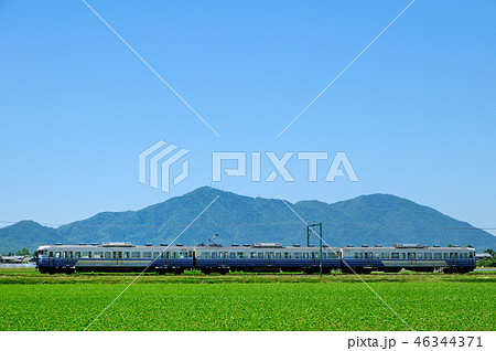 弥彦山を背景に田園風景を走る越後線115系電車 46344371