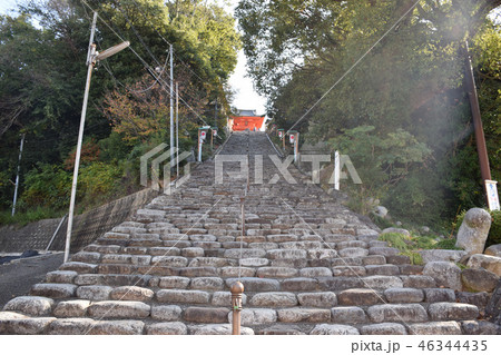 伊佐爾波神社 伊佐爾波神社 46344435