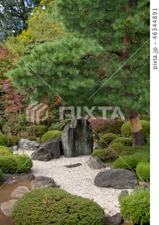 紅葉の喜多院 遠州流 枯山水庭園 埼玉県川越市 紅葉の喜多院 遠州流 枯山水庭園 埼玉県川越市 46344891