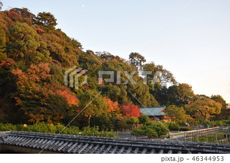 二之丸史跡庭園 46344953