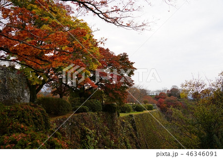 竹田市岡城跡の秋 竹田市岡城跡の秋 46346091