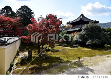 鹿王院 舎利殿 鹿王院 舎利殿 46346440