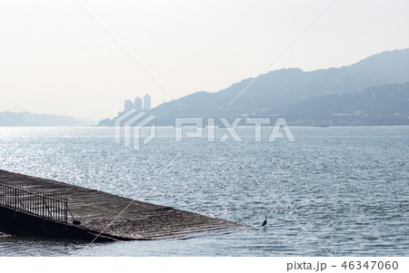 bird at riverside bird at riverside 46347060