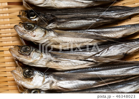 トビウオ 46348023