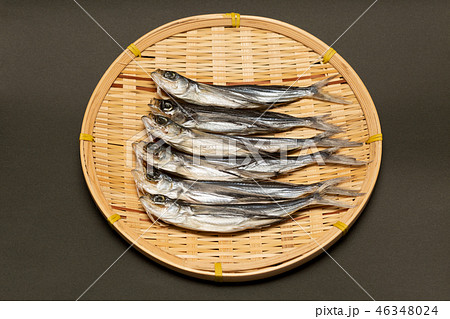 トビウオ 46348024