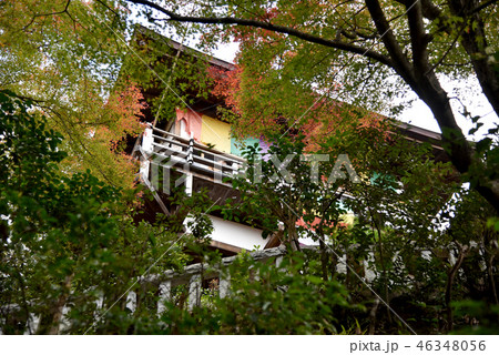 大悲閣千光寺 46348056