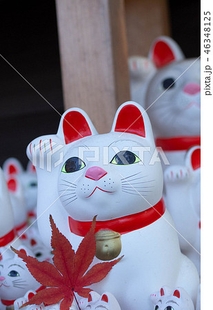 【東京】世田谷・豪徳寺の招き猫 【東京】世田谷・豪徳寺の招き猫 46348125