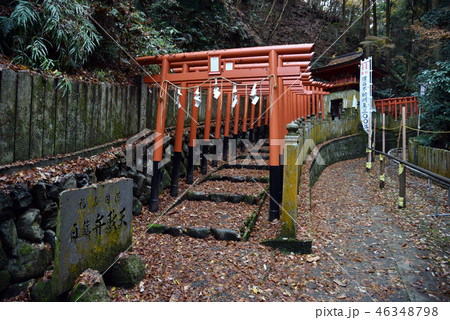 狸谷山不動院　白龍弁財天 46348798